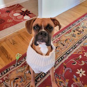 Meet your Posher, Lisa